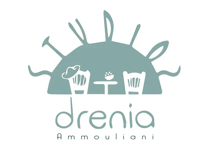 公寓 Drenia 阿莫利亚尼岛